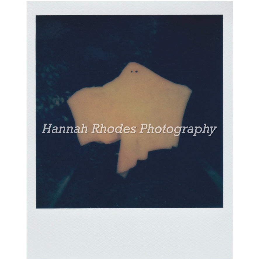 "GHOST WITH THE MOST" POLAROID PRINT