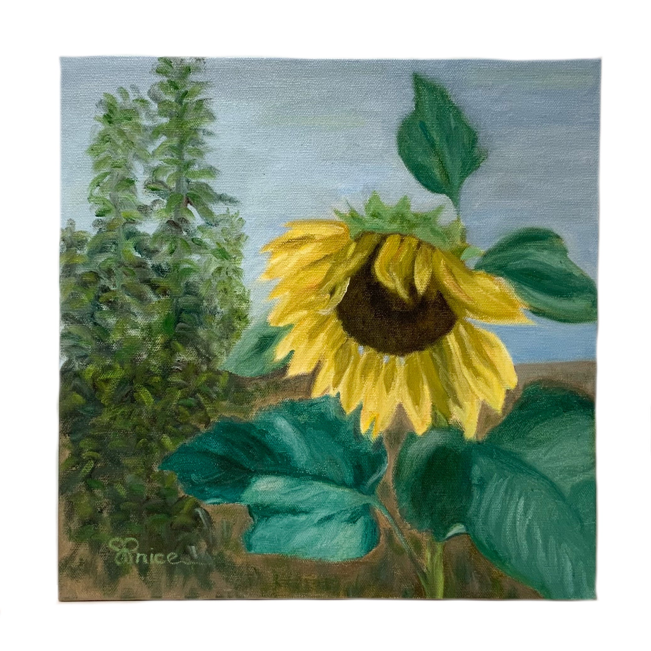 "SUNFLOWER FADING" OIL PAINTING